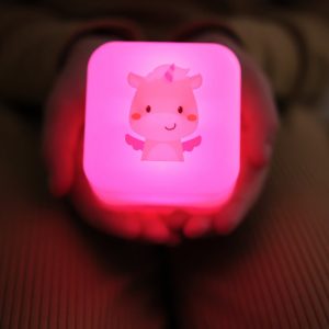 Cube B™ – Lily la Licorne – CloudB