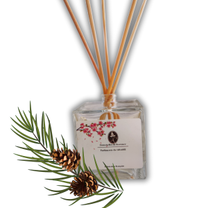 Bâtons sent-bon parfum CEDRE 100ml