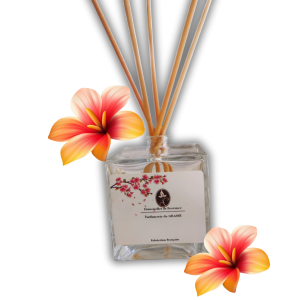 Bâtons sent-bon parfum FLEUR DE TIARÉ MONOÏ 100ml