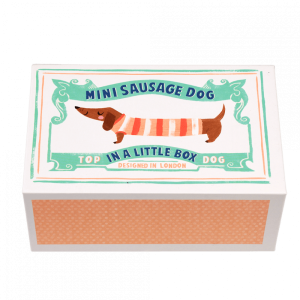 Mini chien saucisse dans une petite boite