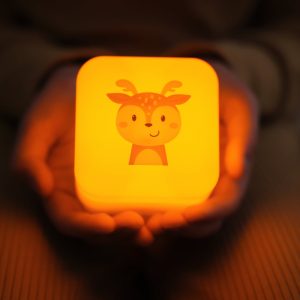 Cube B™ – Finley le Faon – CloudB