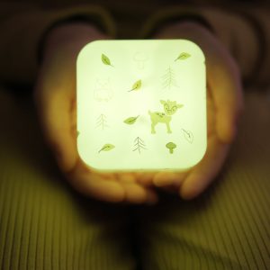 Cube B™ – Forêt – CloudB