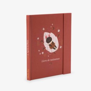 Livre de naissance (80 pages) Après la pluie – Moulin Roty