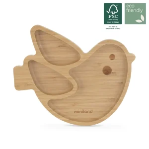 ASSIETTE EN BOIS OISEAU