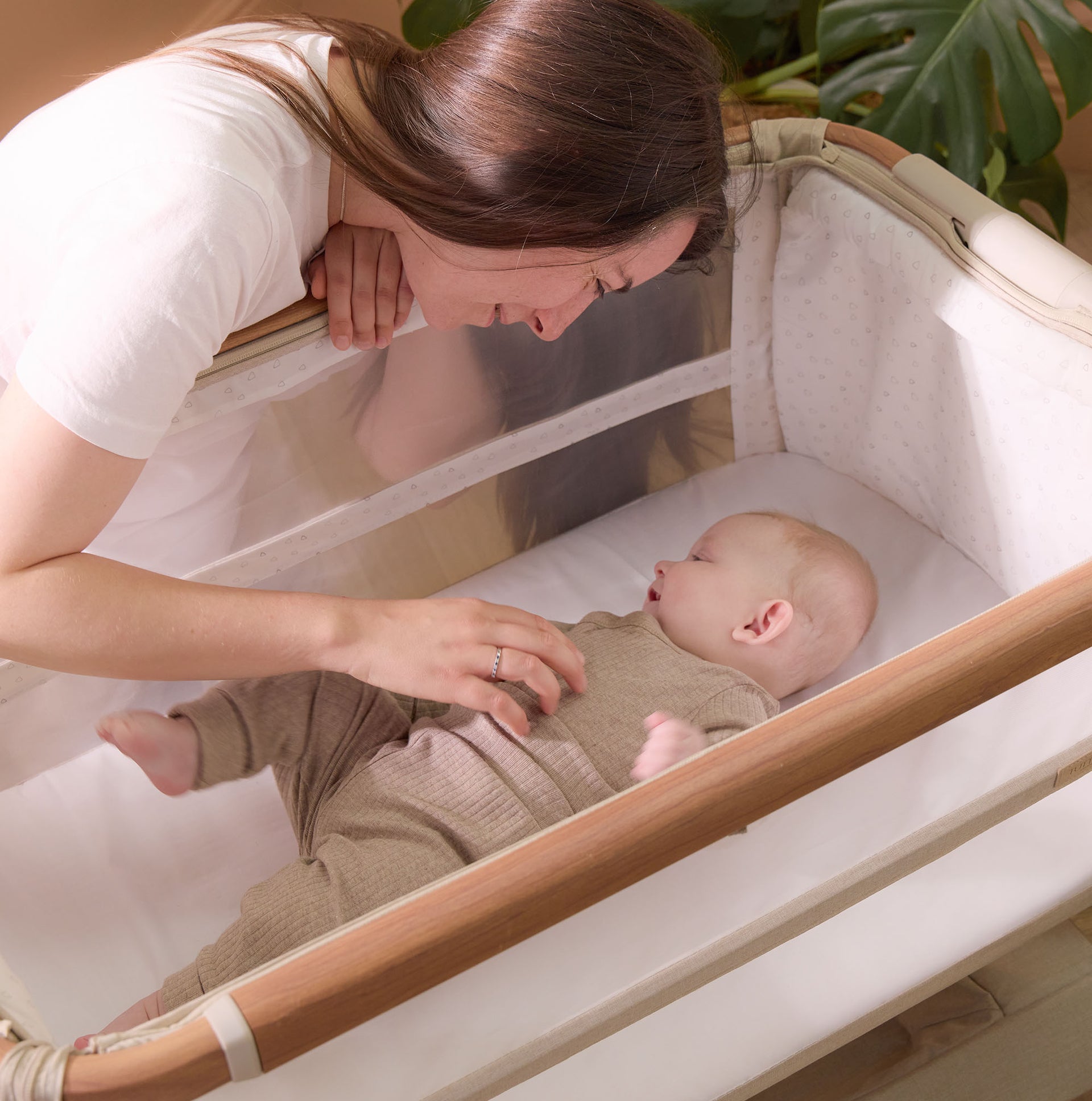 CoZee XL Bedside Crib & Cot – Noix scandinave/Ecru – Tutti Bambini – Image 5