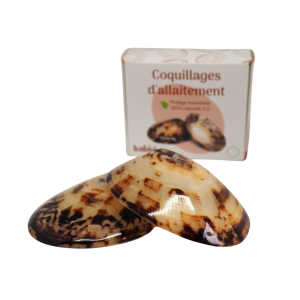 Coquillage allaitement