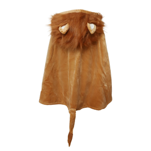 Déguisement lion