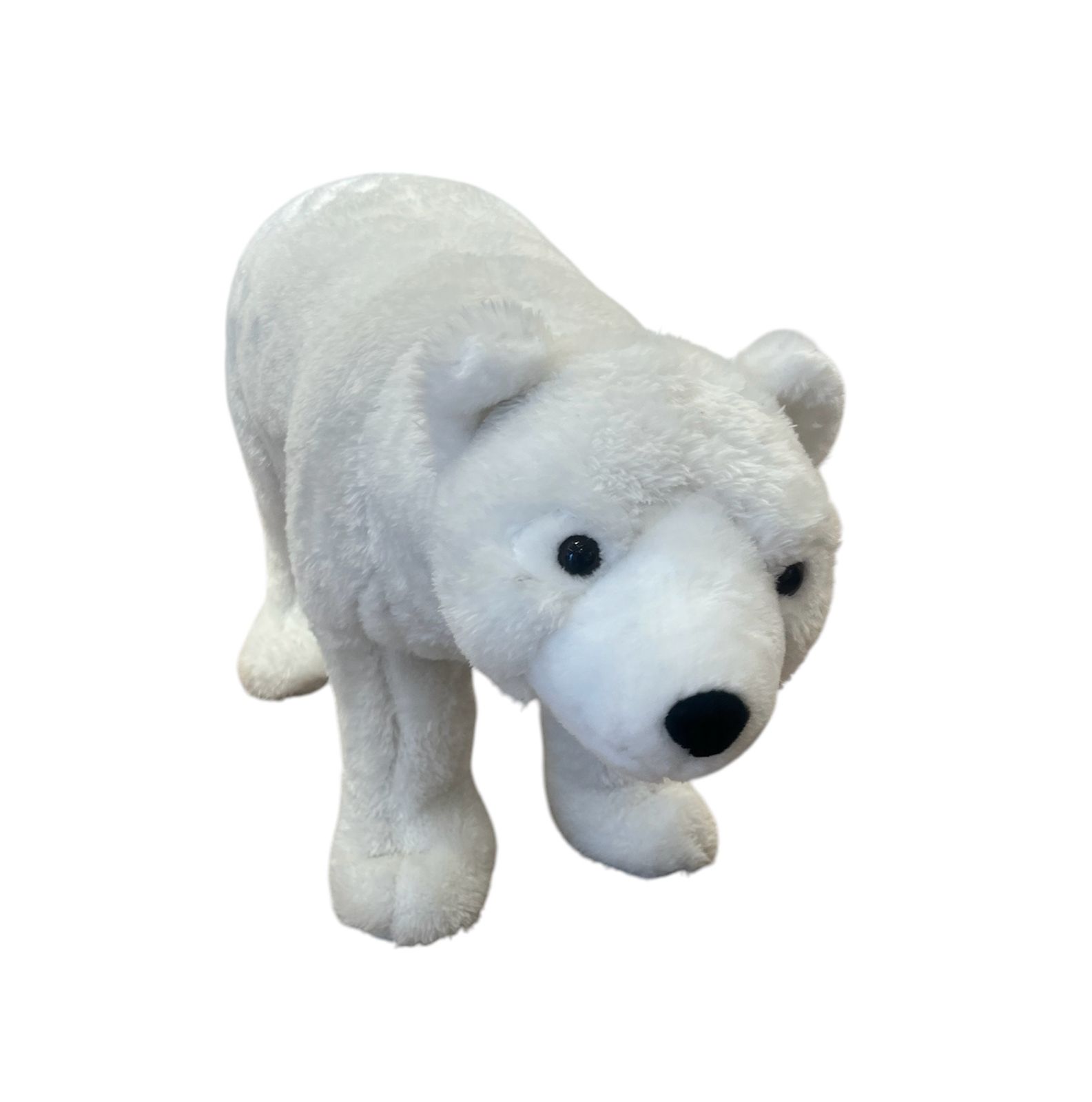 Grand ours polaire – Image 2