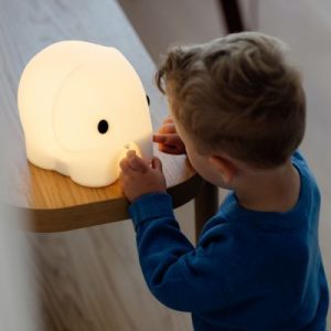 Éléphant First Light – Mr Maria