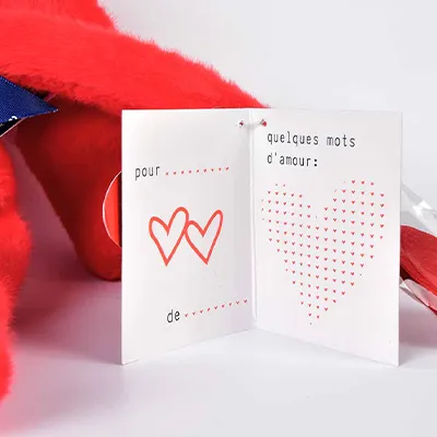 Lapin Méloé Rouge Passion passion – Je t’aime “à la folie” – Image 6