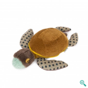 Petite Tortue Tout Autour Du Monde – 719028
