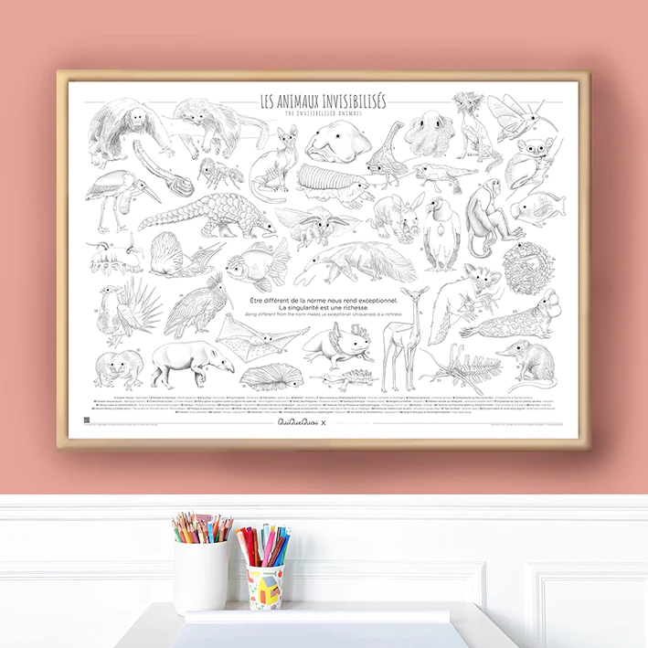 Coloriage XXL animaux invisibilisés – Image 3