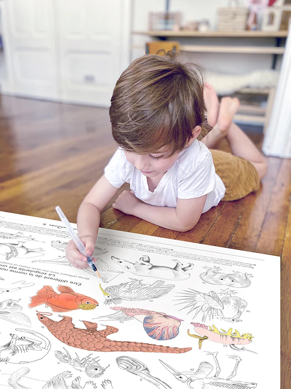 Coloriage XXL animaux invisibilisés – Image 2