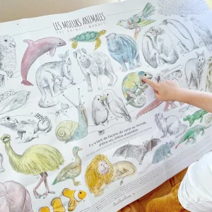 Coloriage XXL moeurs animales