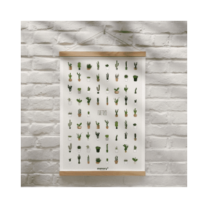 AFFICHE CACTUS 30X40