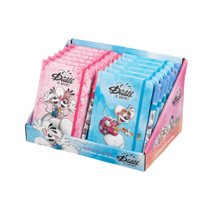 CARNET ET STYLO DIDDL