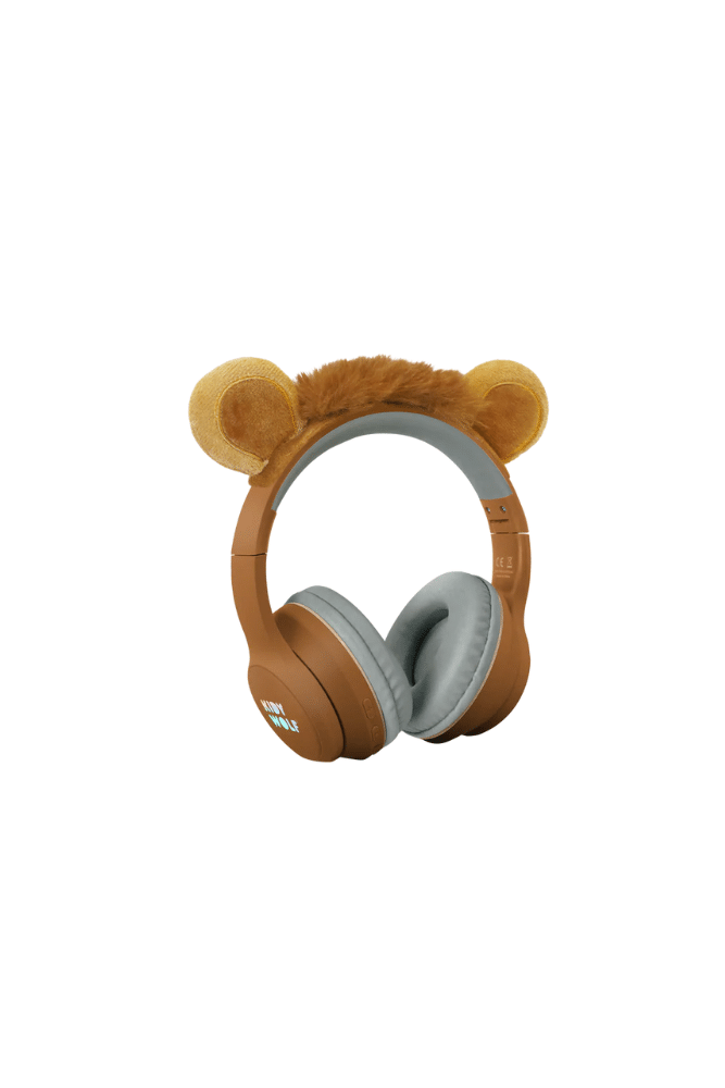 CASQUE AUDIO BLUETOOTH | Lion