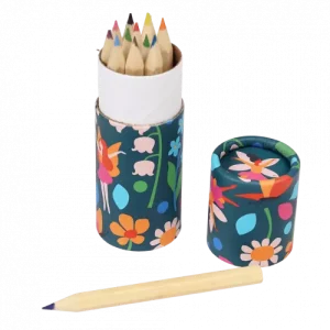 Tube de crayons de couleur – Fées