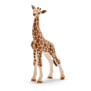Bébé Girafe -Schleich – 14751