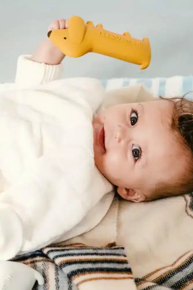 GOMMU Mini Dog | Sienna – Image 3