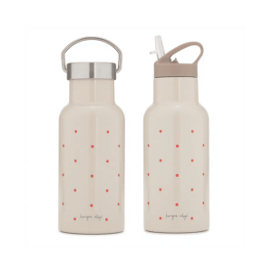 GOURDE ISOTHERME | Clay dot