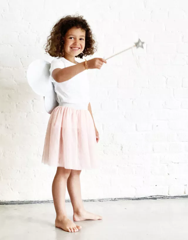 Kit Papillon – Image 3