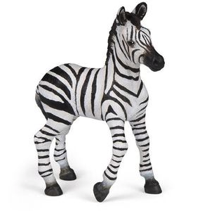 Bébé Zèbre -Papo- 50123