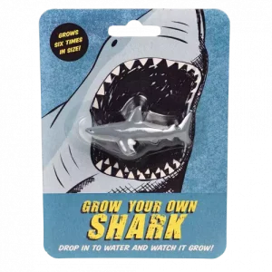 Requin magique – À cultiver