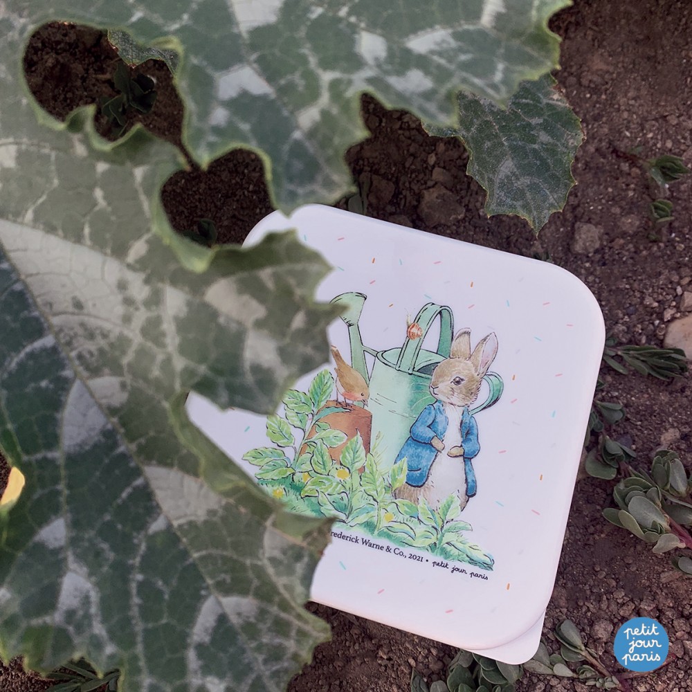 Set de 3 lunch Box Peter Rabbit – BP994P – Petit Jour Paris – Image 3