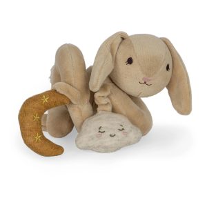 Spirale d’activité lapin