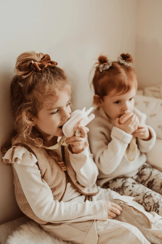 TALKIE WALKIE | Renard et Licorne – Image 2