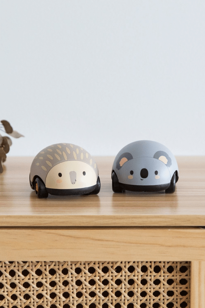 VEHICULES A FRICTION | Animaux australiens – Image 4