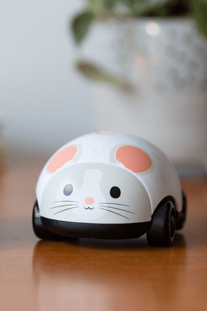 VEHICULES A FRICTION | Chat et souris – Image 2