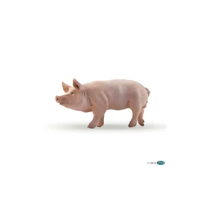 Cochon mâle – 51044 – Papo